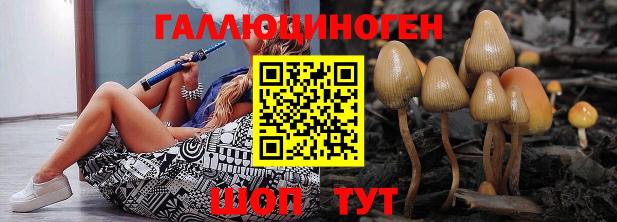 Кузнецк  Галлюциногенные грибы Psilocybine cubensis  Псилоцибиновые грибы Magic Shrooms  Вход с VPN 